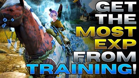 bdo horse training quests.